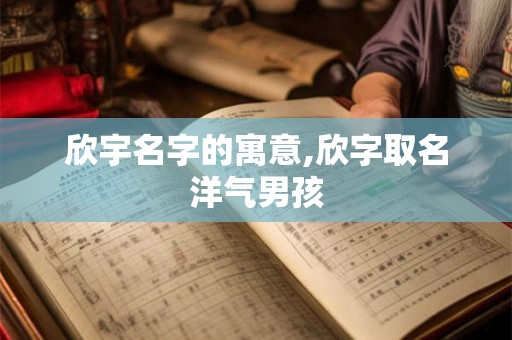 欣宇名字的寓意,欣字取名洋气男孩