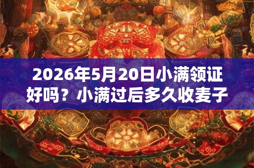 2026年5月20日小满领证好吗？小满过后多久收麦子？