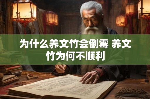 为什么养文竹会倒霉 养文竹为何不顺利