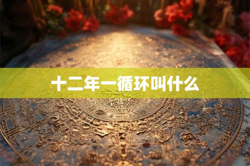 十二年一循环叫什么