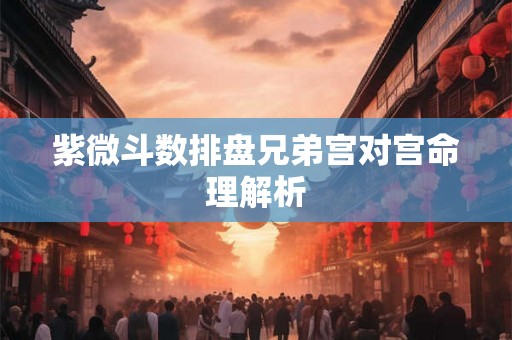 紫微斗数排盘兄弟宫对宫命理解析
