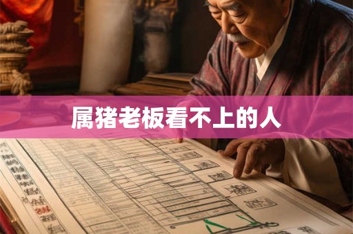 属猪老板看不上的人