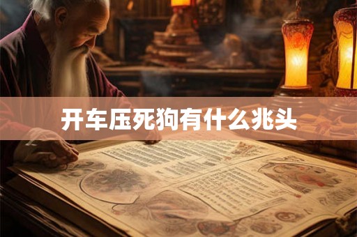 开车压死狗有什么兆头