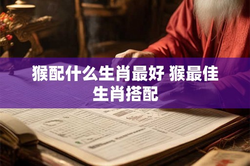 猴配什么生肖最好 猴最佳生肖搭配