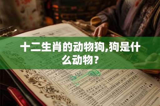 十二生肖的动物狗,狗是什么动物？