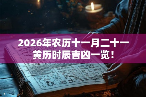 2026年农历十一月二十一黄历时辰吉凶一览！