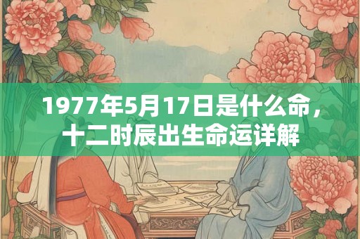 1977年5月17日是什么命，十二时辰出生命运详解