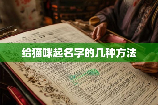 给猫咪起名字的几种方法