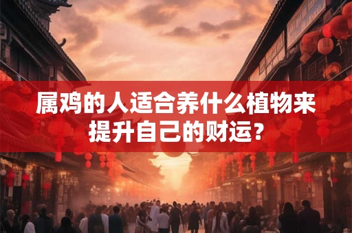 属鸡的人适合养什么植物来提升自己的财运？
