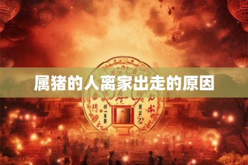 属猪的人离家出走的原因