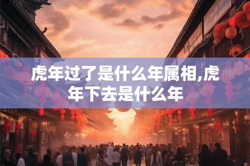 虎年过了是什么年属相,虎年下去是什么年
