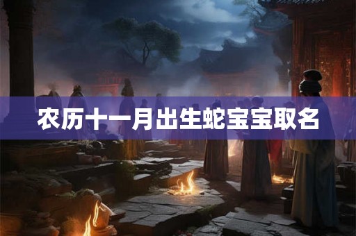 农历十一月出生蛇宝宝取名