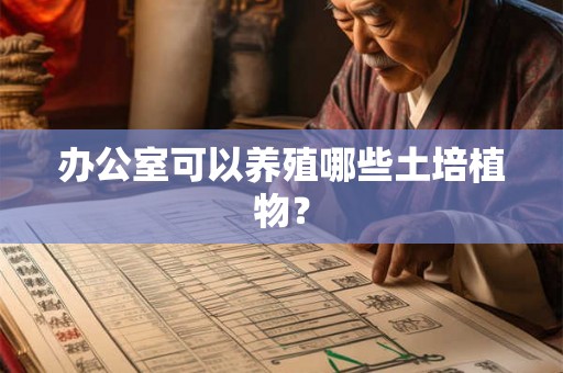 办公室可以养殖哪些土培植物？