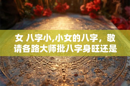 女 八字小,小女的八字，敬请各路大师批八字身旺还是弱。