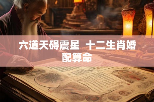 六道天碍震星  十二生肖婚配算命