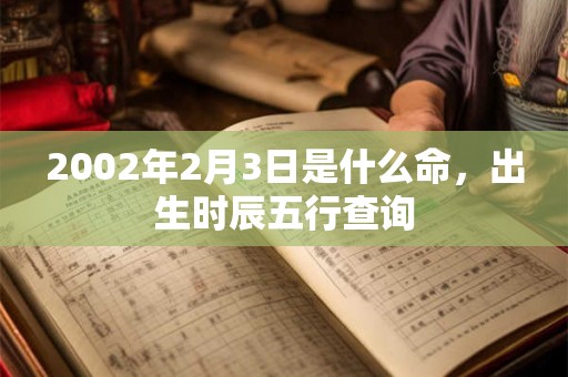 2002年2月3日是什么命，出生时辰五行查询