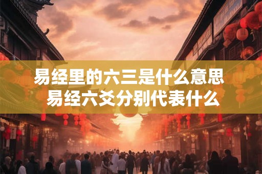 易经里的六三是什么意思  易经六爻分别代表什么