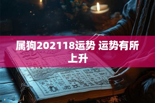 属狗202118运势 运势有所上升