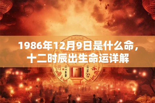 1986年12月9日是什么命，十二时辰出生命运详解
