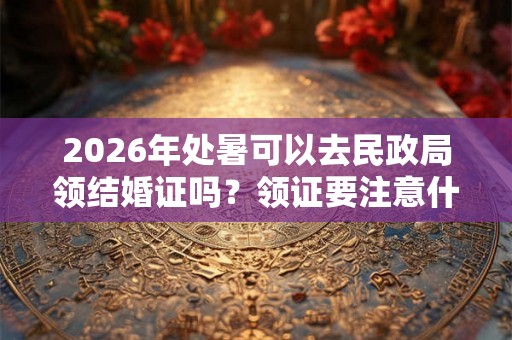 2026年处暑可以去民政局领结婚证吗？领证要注意什么？