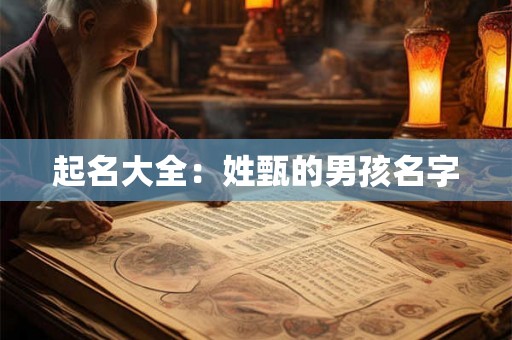 起名大全：姓甄的男孩名字