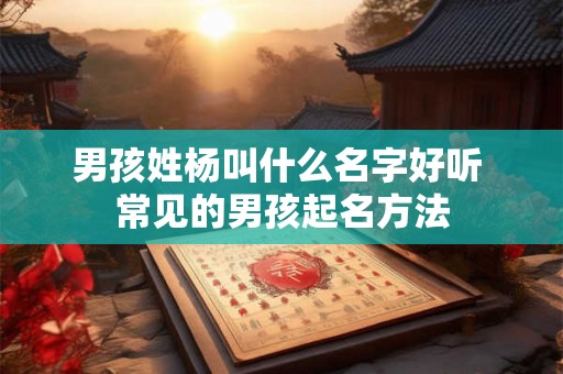 男孩姓杨叫什么名字好听 常见的男孩起名方法