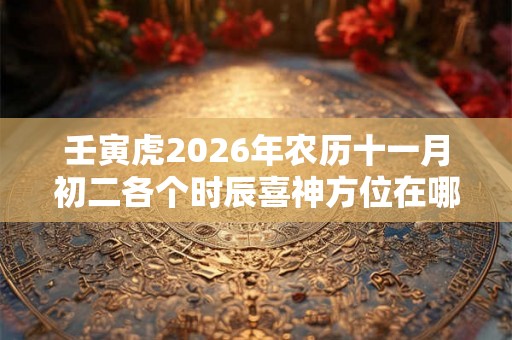 壬寅虎2026年农历十一月初二各个时辰喜神方位在哪？