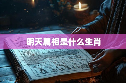 明天属相是什么生肖