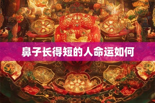 鼻子长得短的人命运如何