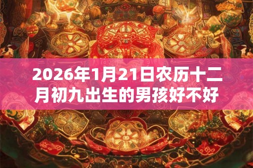 2026年1月21日农历十二月初九出生的男孩好不好