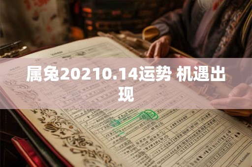 属兔20210.14运势 机遇出现