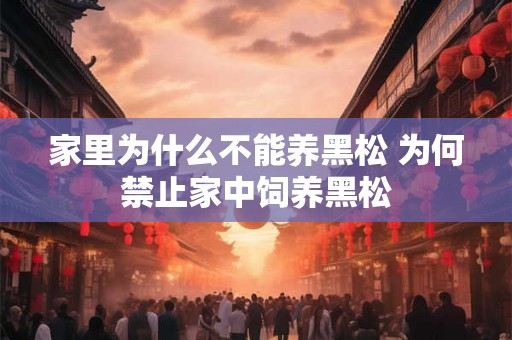 家里为什么不能养黑松 为何禁止家中饲养黑松