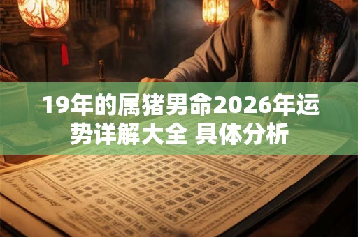 19年的属猪男命2026年运势详解大全 具体分析
