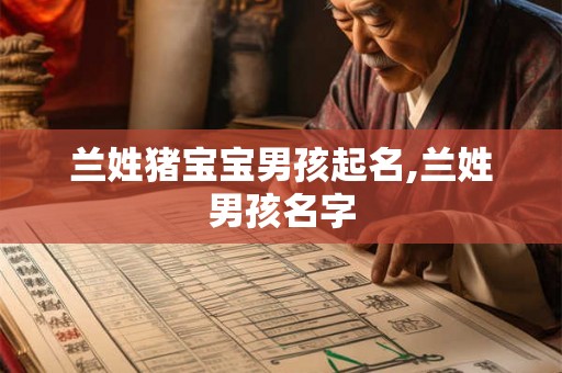 兰姓猪宝宝男孩起名,兰姓男孩名字