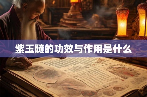 紫玉髓的功效与作用是什么 紫玉髓的功效与作用是什么