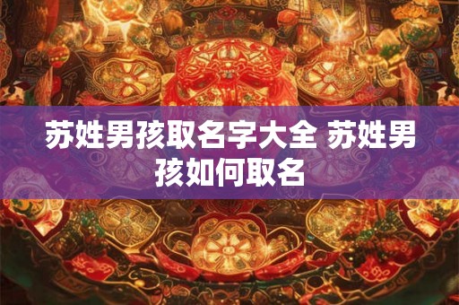 苏姓男孩取名字大全 苏姓男孩如何取名