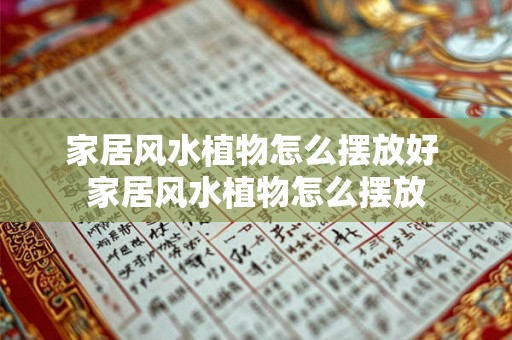 家居风水植物怎么摆放好 家居风水植物怎么摆放