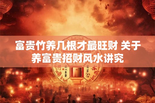 富贵竹养几根才最旺财 关于养富贵招财风水讲究