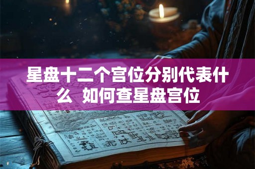 星盘十二个宫位分别代表什么  如何查星盘宫位