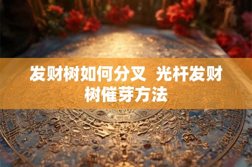 发财树如何分叉  光杆发财树催芽方法