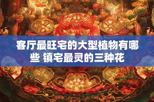 客厅最旺宅的大型植物有哪些 镇宅最灵的三种花