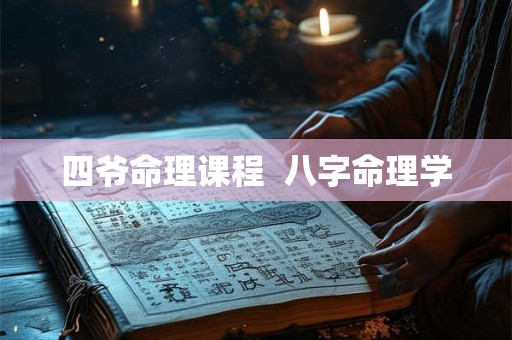 四爷命理课程  八字命理学