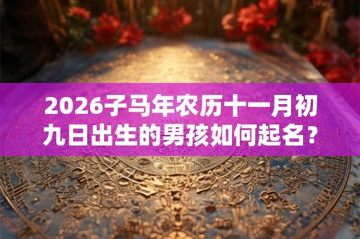2026子马年农历十一月初九日出生的男孩如何起名？