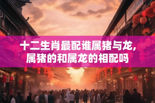十二生肖最配谁属猪与龙,属猪的和属龙的相配吗