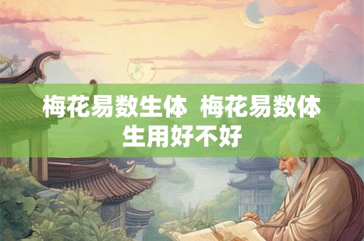 梅花易数生体 梅花易数体生用好不好 梅花易数生体 梅花易数体生用好不好