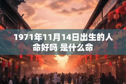 1971年11月14日出生的人命好吗 是什么命