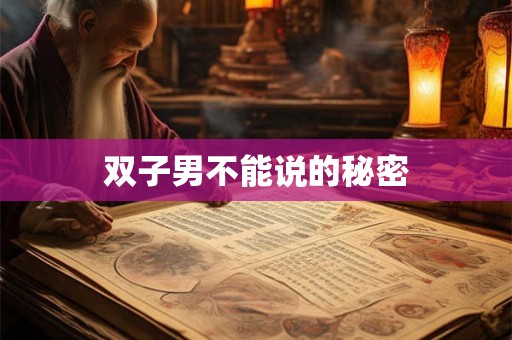 双子男不能说的秘密