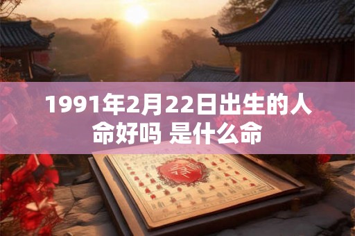 1991年2月22日出生的人命好吗 是什么命