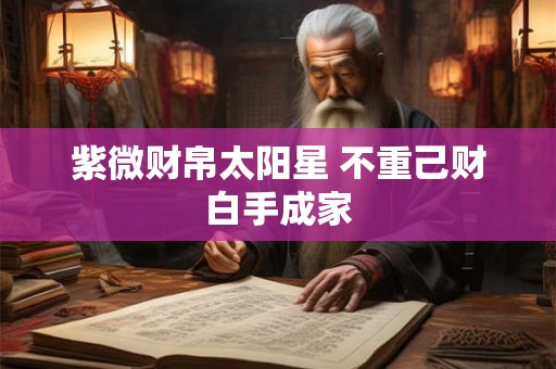 紫微财帛太阳星 不重己财白手成家 紫微财帛太阳星 不重己财白手成家