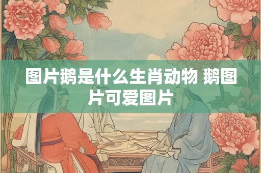 图片鹅是什么生肖动物 鹅图片可爱图片